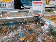 水产区-盒马鲜生(189购物中心店)