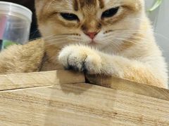 -麦当劳(南京水西门大街店)