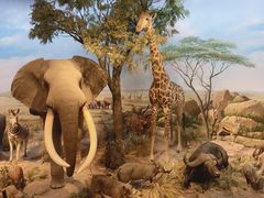 -陕西自然博物馆