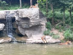 -宁波野生动物园