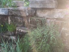 -会宾园·云山宴中餐