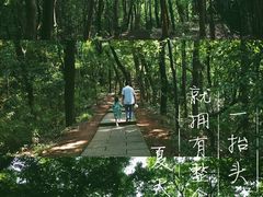 -九曜山