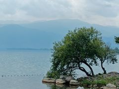 -西昌邛海湿地