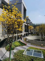 -KISS U 国际美学