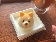 -柴犬高等学院·狗咖·柴犬售卖·宠物训练