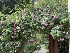 -谷咖啡·鲜花绿植花园餐厅