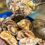 魔都登岛时间到！全球直采重新定义中国自助餐