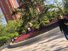 -迎泽公园