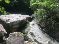 -牛背梁国家森林公园