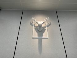 -MJ skin care国际皮肤管理中心