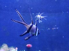 -成都浩海立方海洋公园