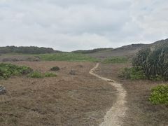 -龙坑生态保护区