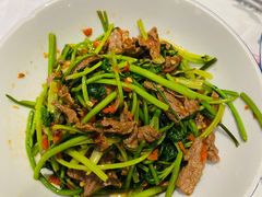 -壹盏灯(惠农店)