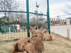 -盈香心动乐园