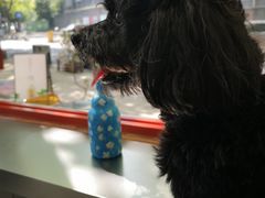 -喧闹·东方大气茶(鹅岭二厂店)