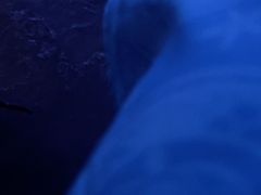 -暴风岛沉浸式体验馆(百联世纪店)