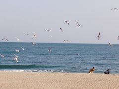 -海云台海滩