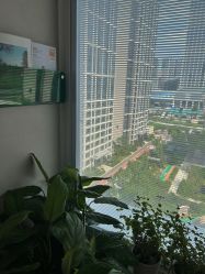 -蔓霏美学生活沙龙