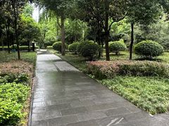 -唐城墙遗址公园