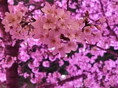 -西北湖绿化广场