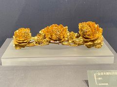 -温州博物馆