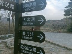 -阳台山自然风景区