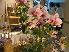 -施奈儿.洗头頭療.按摩SPA.采耳(上梅林店)