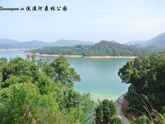 -广州市流溪河国家森林公园