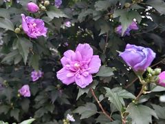 -螃蟹岬(地铁站)