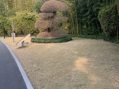 -苏州河梦清园环保主题公园