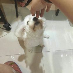 -Hands Nail专业美甲美睫