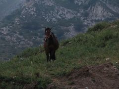 -灵山