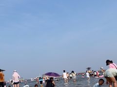 -碧海金沙
