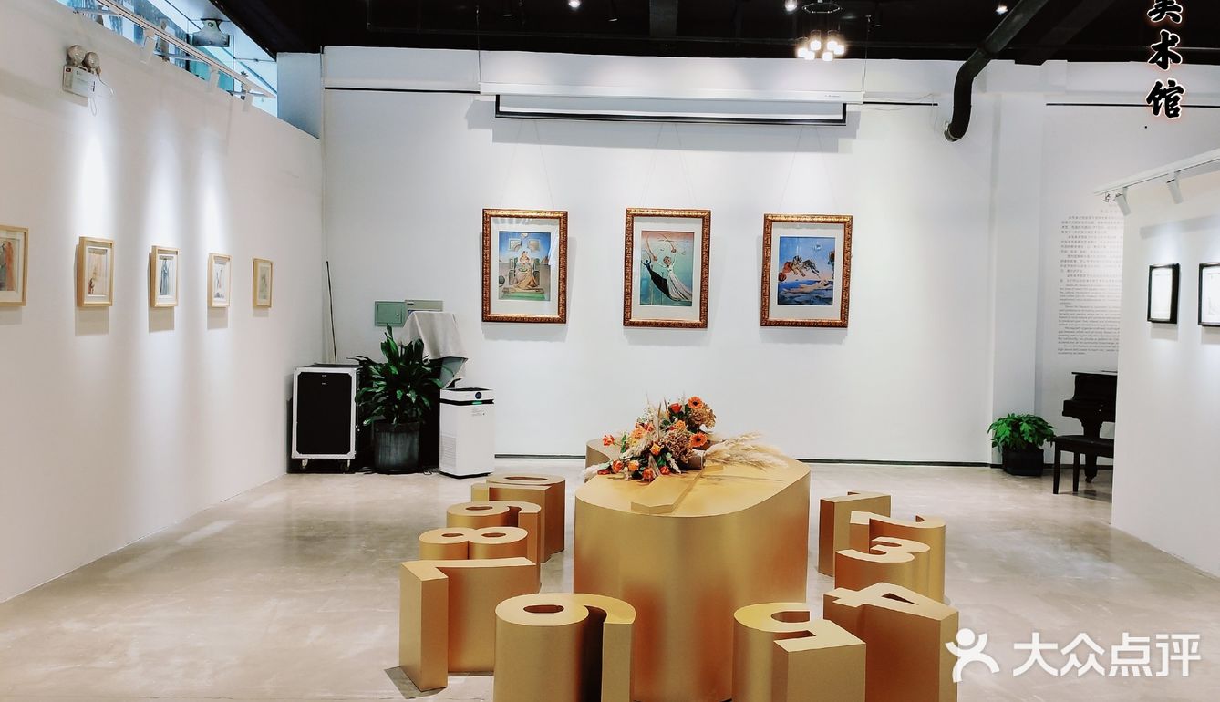常州首家公开达利展览