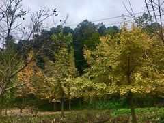 -金堂县云顶石城风景区