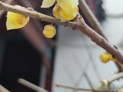-万寿八仙宫
