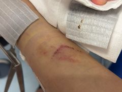 -上海跨国采购会展中心