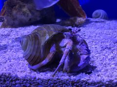 -海合安青岛极地海洋公园