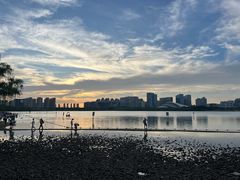 -天鹅湖体育公园