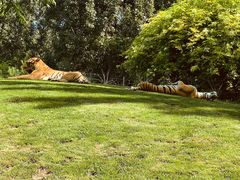 -北京野生动物园