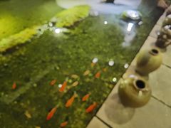 -几荷·恰似故人来(秀水广场店)