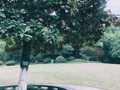 -西湖风景区十里琅珰-五云山