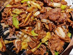 -大鸭梨烤鸭店(花园村店)
