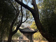 -兰亭风景区