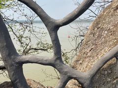 -幕燕滨江·燕子矶公园