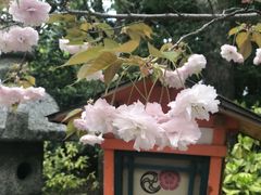 -有栖山 清光院 清水寺