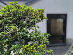 -青竺·青竹茶舍(断桥店)