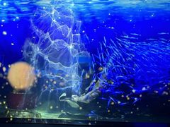 -顺德南宏海立方海洋公园
