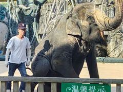 -贵州森林野生动物园