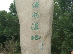 -溱湖国家湿地公园